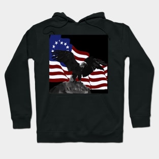 13 Star American Flag with a Bald Eagle Hoodie